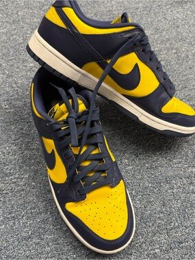 Nike Dunk Low Michigan Sneakers Men’s Size 9